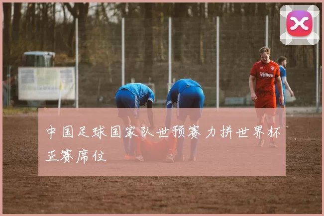 中国足球国家队世预赛力拼世界杯正赛席位