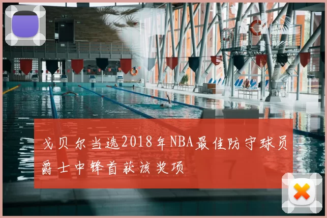 戈贝尔当选2018年NBA最佳防守球员爵士中锋首获该奖项