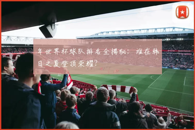 年世界杯球队排名全揭秘:谁在韩日之夏登顶荣耀?