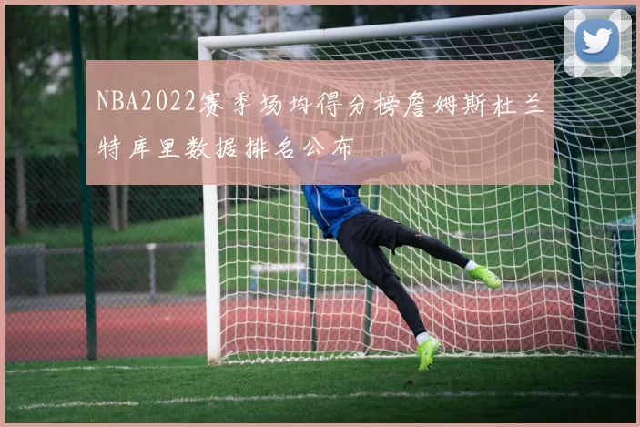 NBA2022赛季场均得分榜詹姆斯杜兰特库里数据排名公布