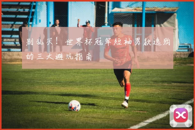 别乱买!世界杯冠军短袖男款选购的三大避坑指南
