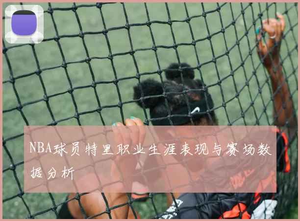 NBA球员特里职业生涯表现与赛场数据分析