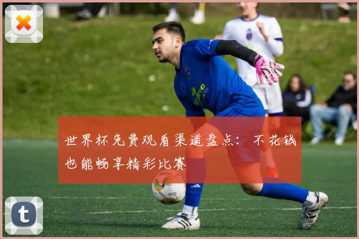 世界杯免费观看渠道盘点:不花钱也能畅享精彩比赛