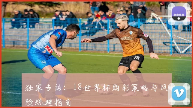 独家专访：18世界杯购彩策略与风险规避指南